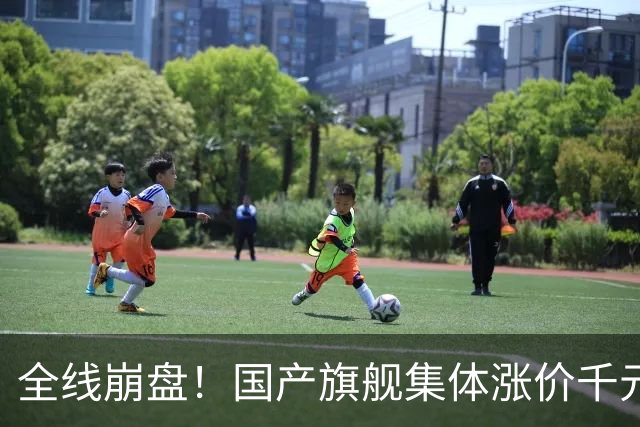 全线崩盘！国产旗舰集体涨价千元，首销最高暴跌71%