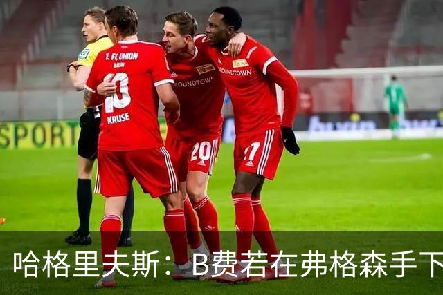 哈格里夫斯：B费若在弗格森手下说这话，就没机会再上场了