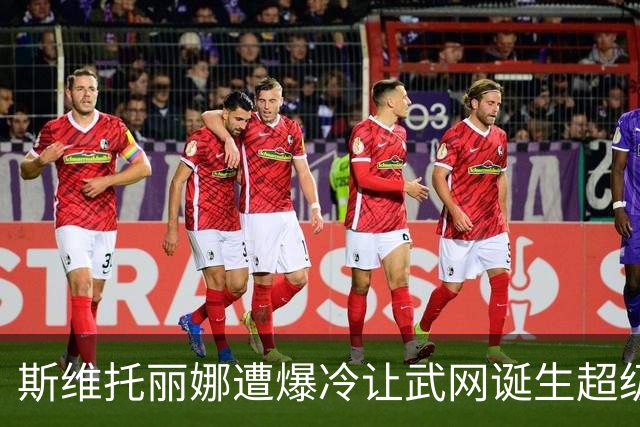 斯维托丽娜遭爆冷让武网诞生超级黑马，霍达尔领走上海逆转王头衔