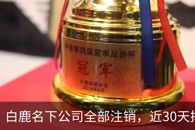 白鹿名下公司全部注销，近30天掉粉超144万，独立运营过渡期引关注