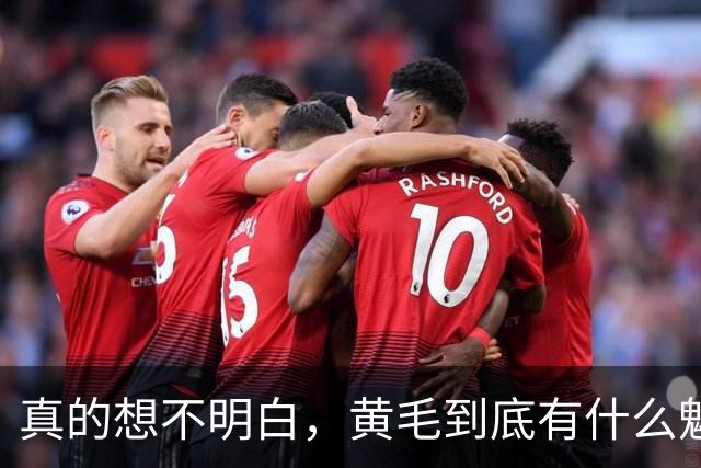 真的想不明白，黄毛到底有什么魅力？网友回答太真实了！