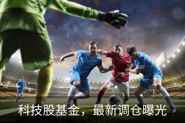 科技股基金，最新调仓曝光