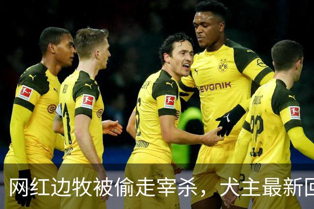 网红边牧被偷走宰杀，犬主最新回应：对方赔偿30万元，我将一分不留全捐出去！